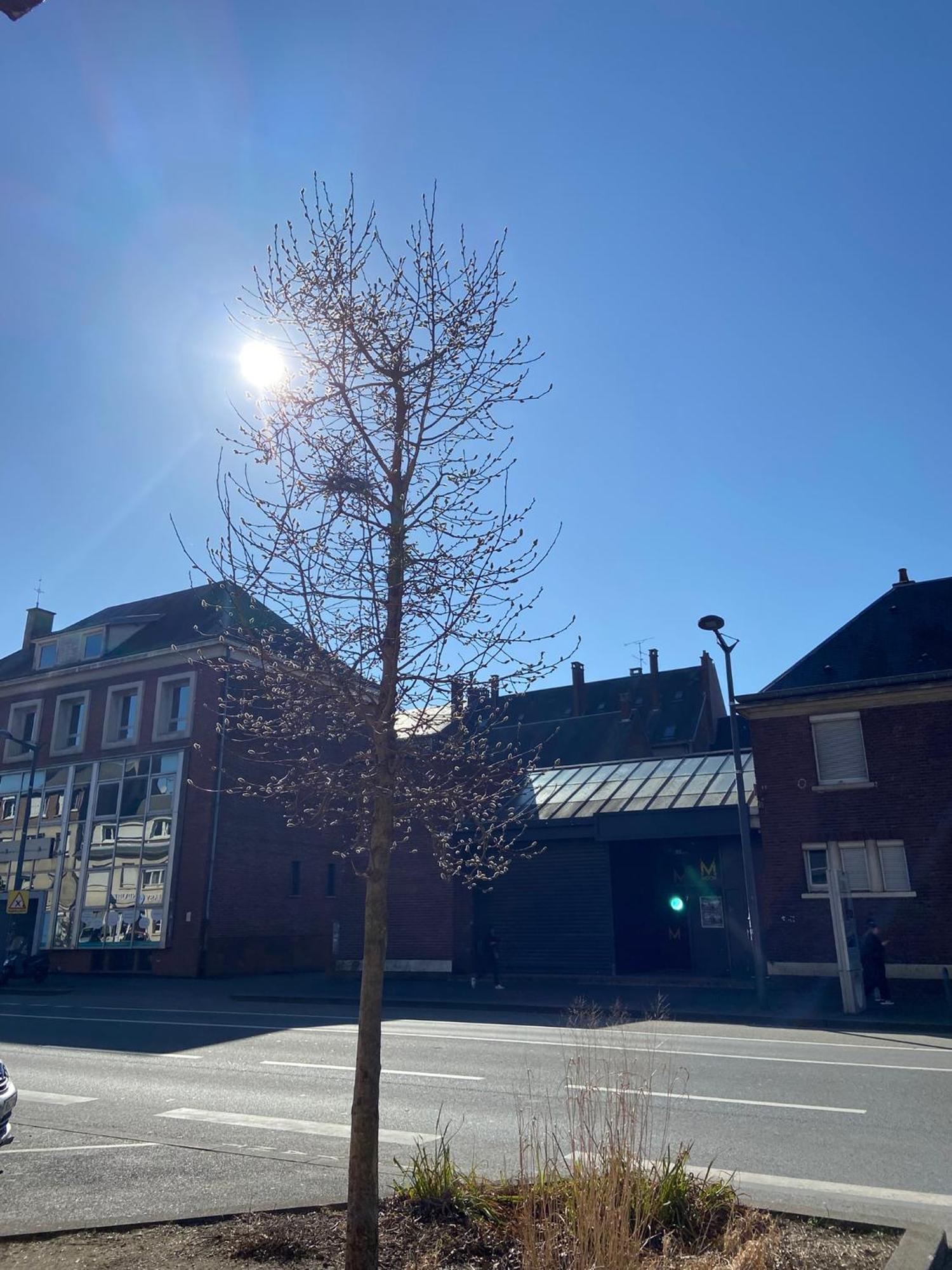 2 Chambres Hyper Centre Avec Place De Parking Et Wifi アミアン エクステリア 写真